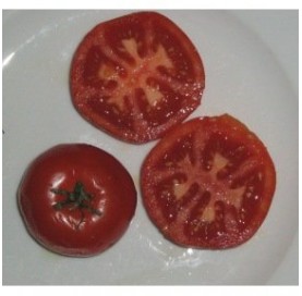 Tomate potager de Vilvorde